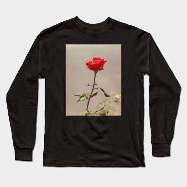 Red Red Rose Long Sleeve T-Shirt by xxfibergrrrlxx